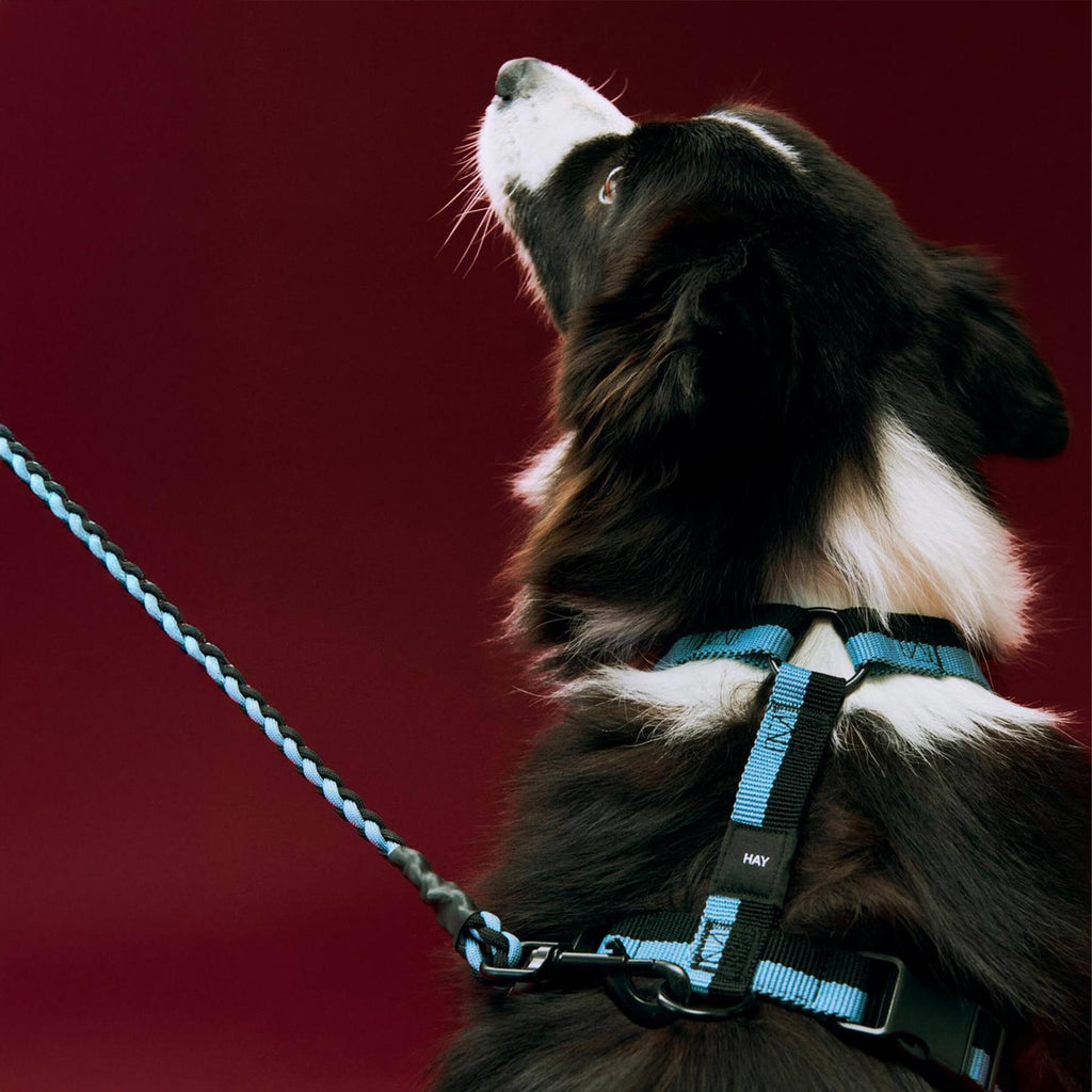 HAY Dog Harness