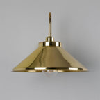 Mullan Lighting Nerissa Brass Swan Neck Wall Light