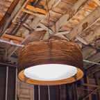 Graypants Drum Pendant Light