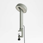TIPTOE NOD Clamp On Lamp