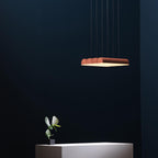 Hutchison 04 pendant light