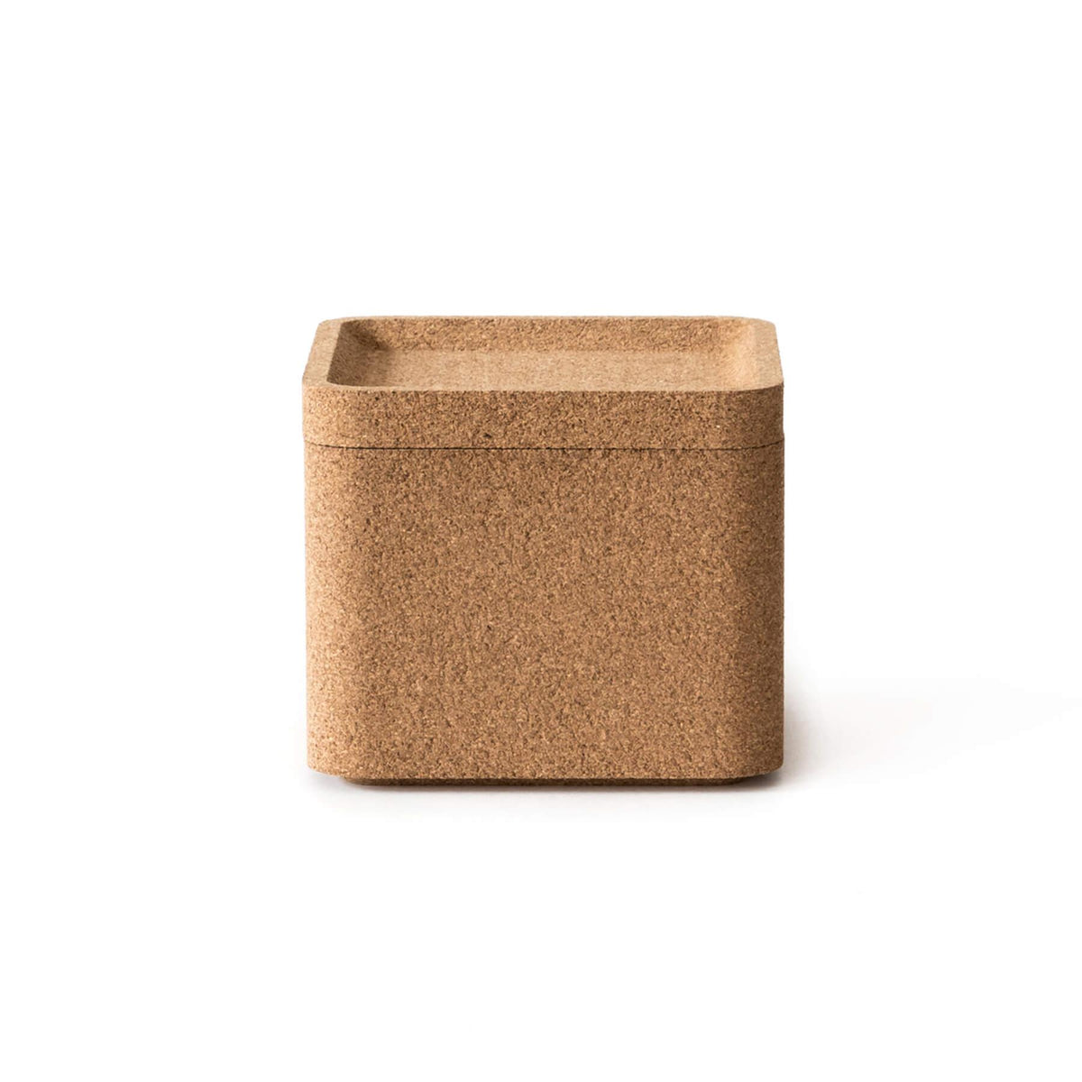 Case Furniture Trove Box
