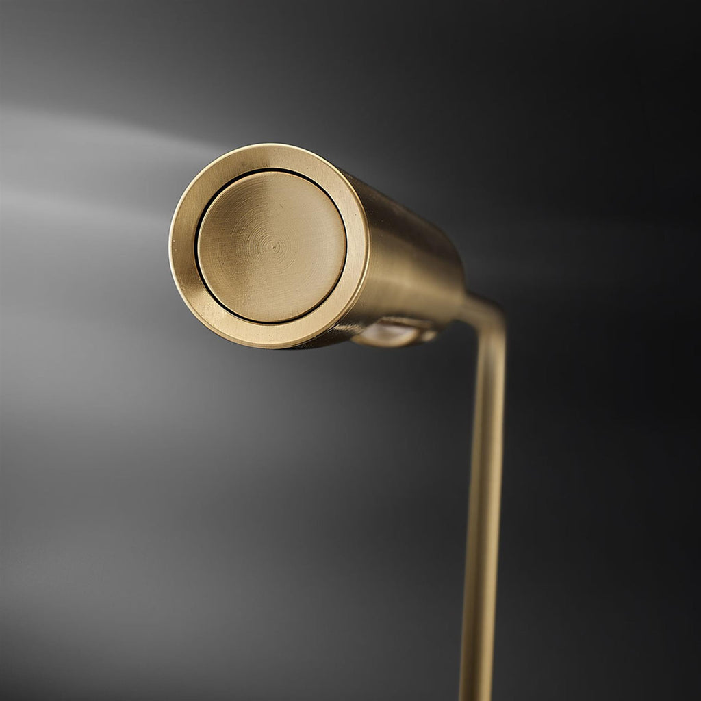 Lumina Flo Desk Lamp
