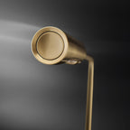 Lumina Flo Desk Lamp
