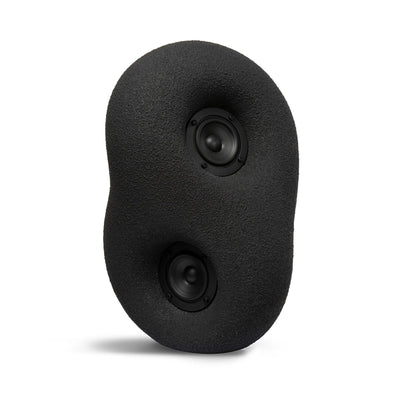 Transparent Acoustic Sculpture