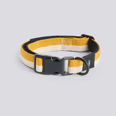 HAY Dogs Collar