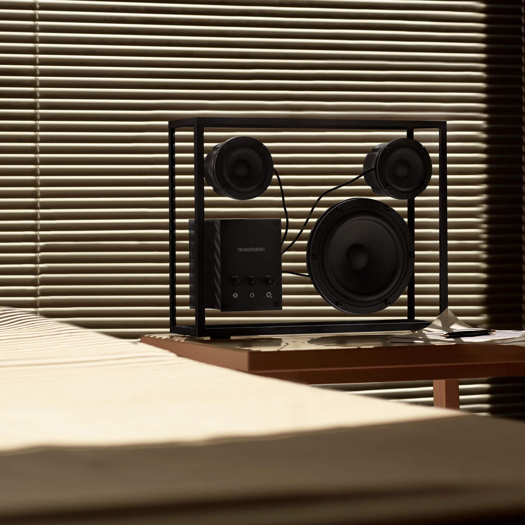 Transparent Speaker | Holloways of Ludlow