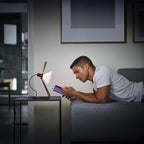 Le Klint 356 Spot Table Lamp