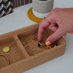 Case Furniture Trove Box