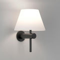 Astro Lighting Roma IP44 Bathroom Light