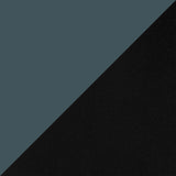 Ocean and Black Oak