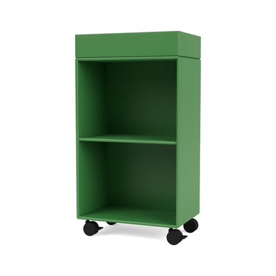 Montana Preppy Trolley