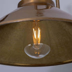 Mullan Lighting Nerissa Brass Swan Neck Wall Light