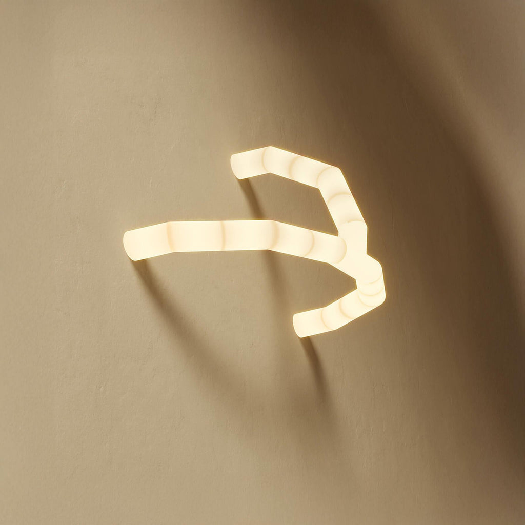 TOOY Tratti Wall/Ceiling Light