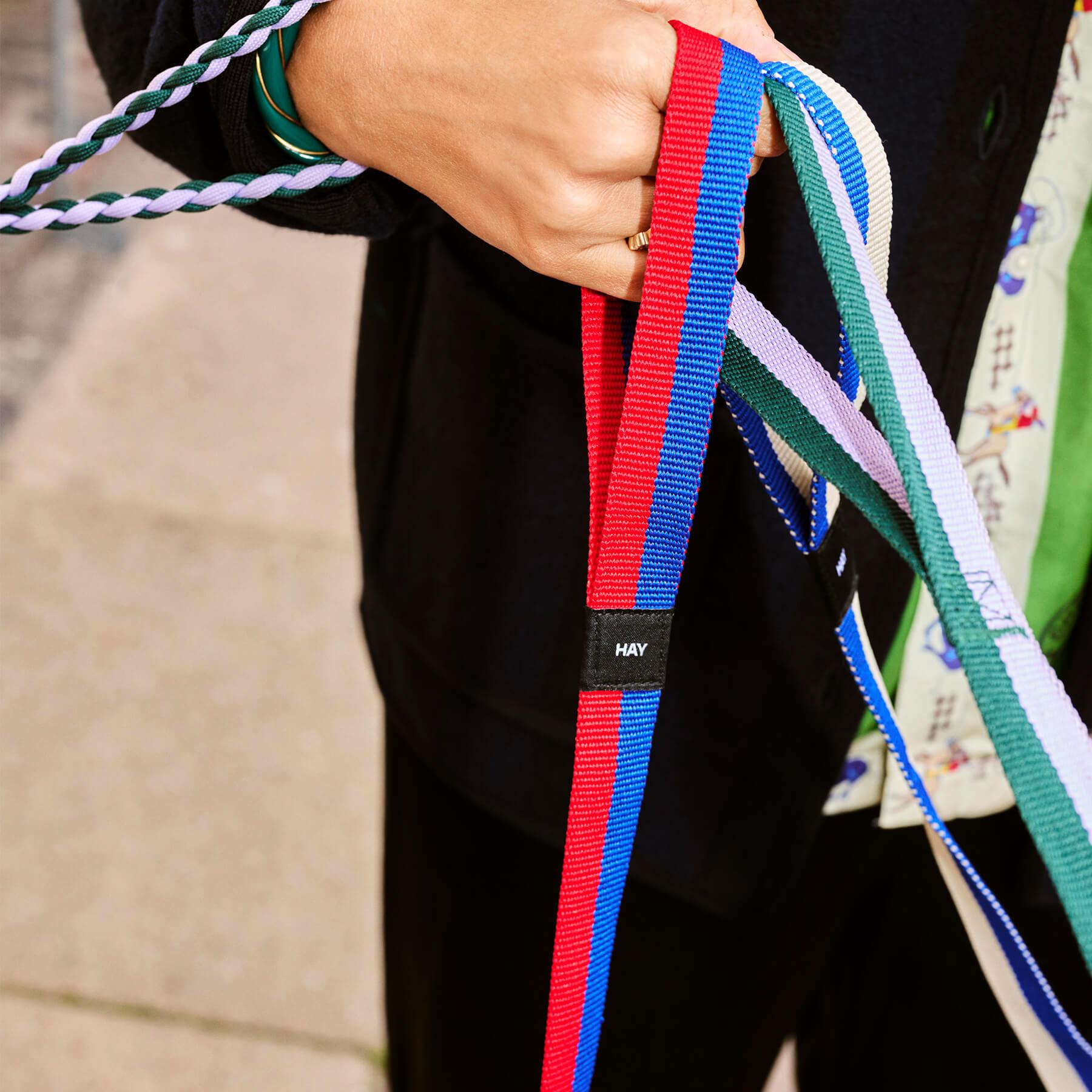 HAY Dogs Leash