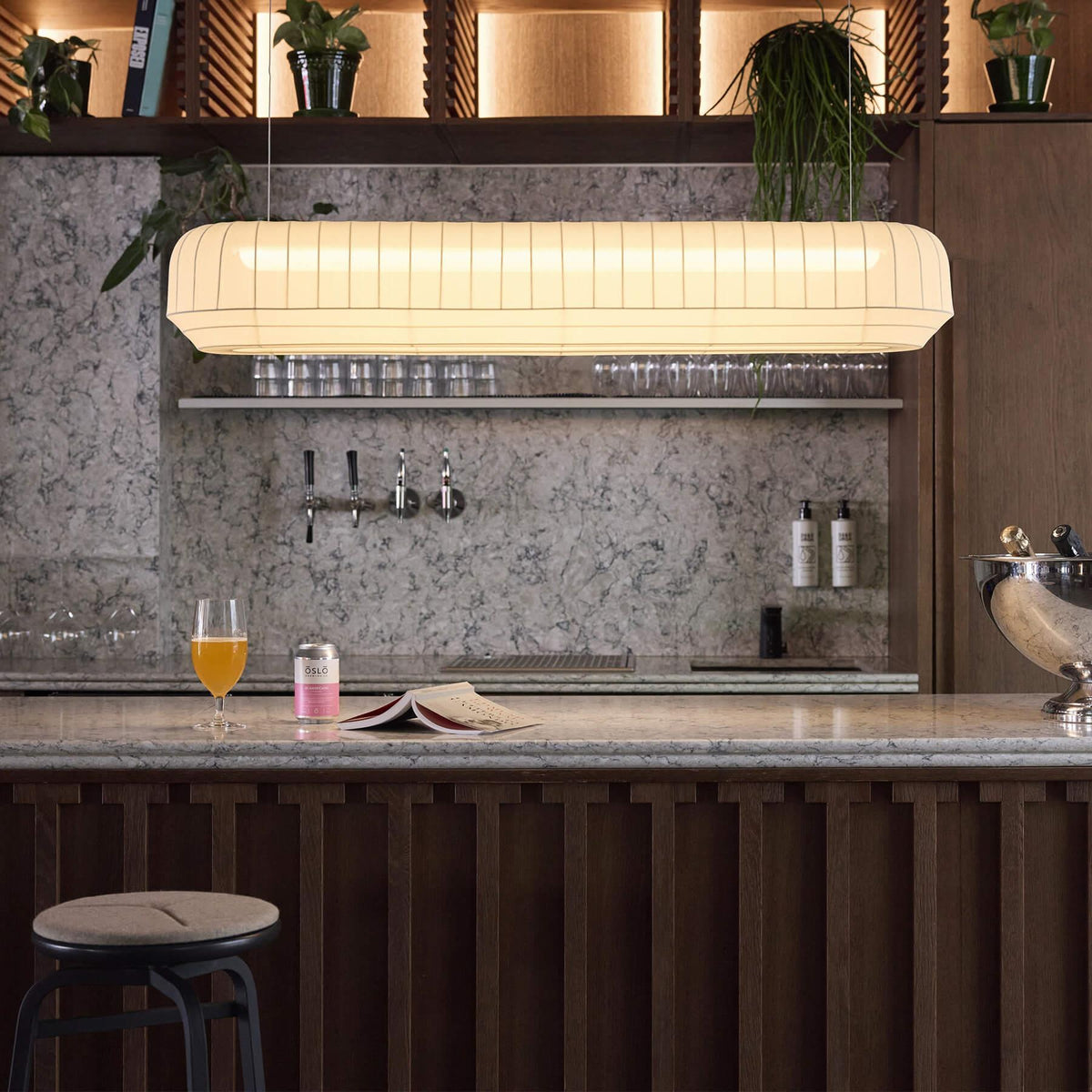 Northern Tradition Linear Pendant Light