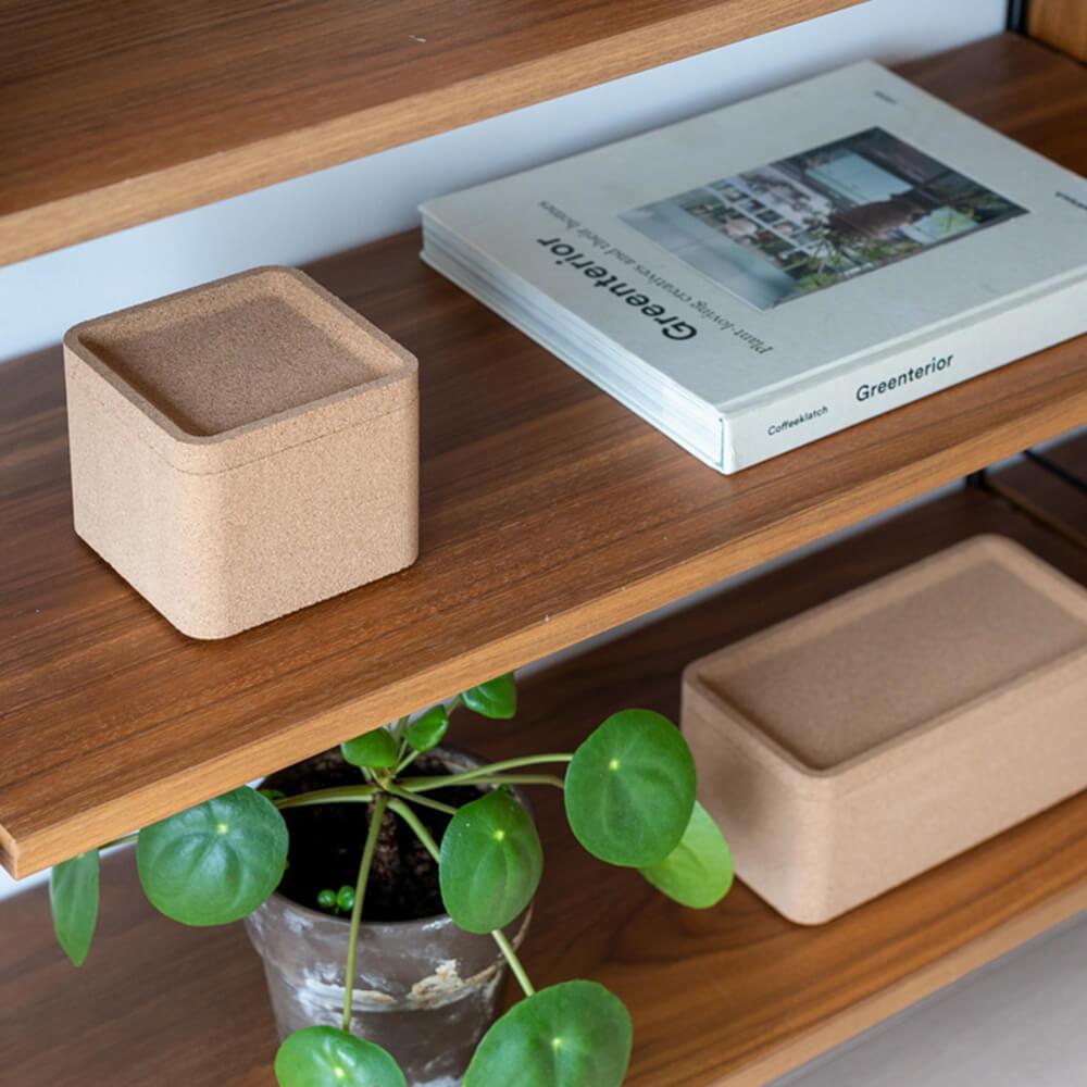 Case Furniture Trove Box