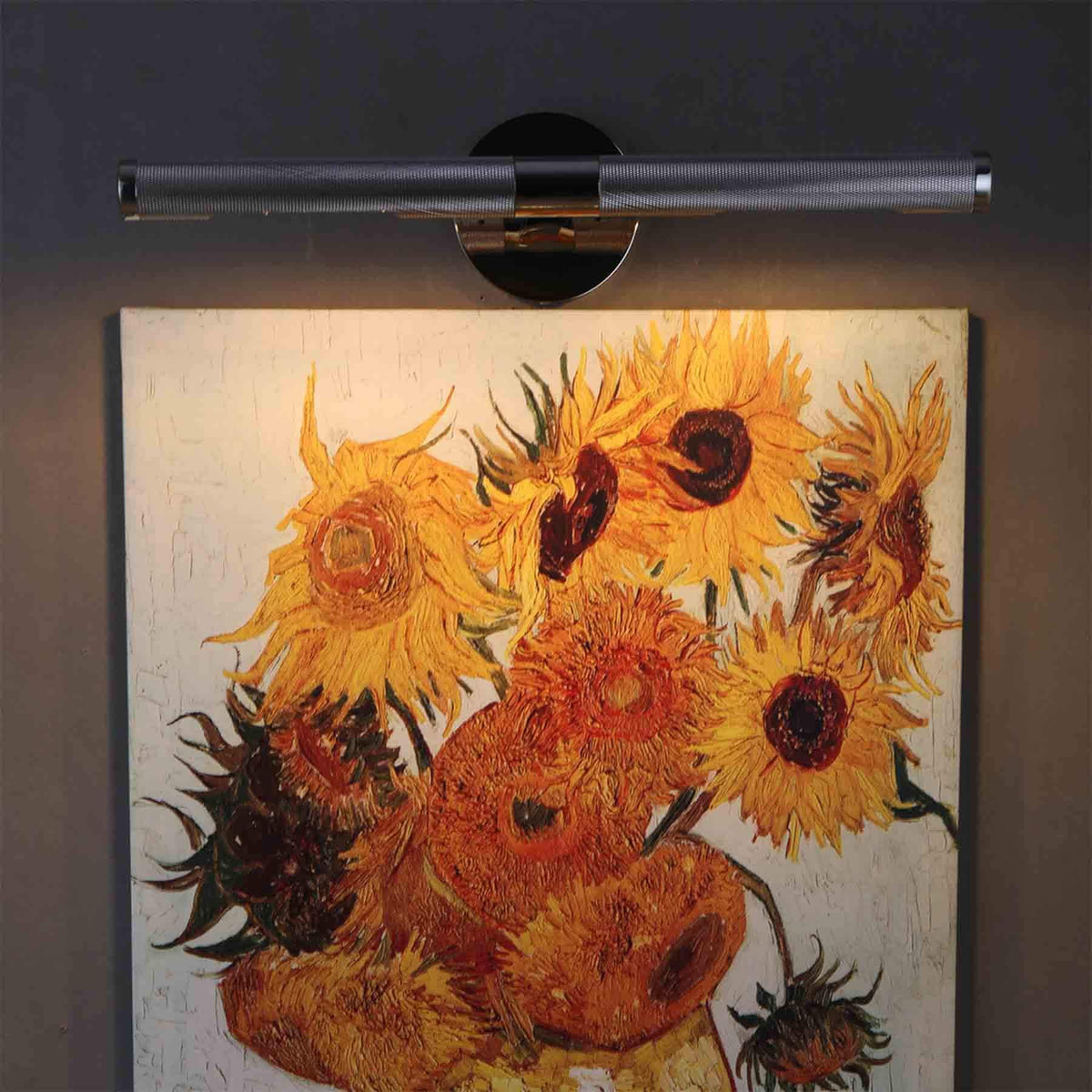 Jimmy Raiden Antoni Picture Light
