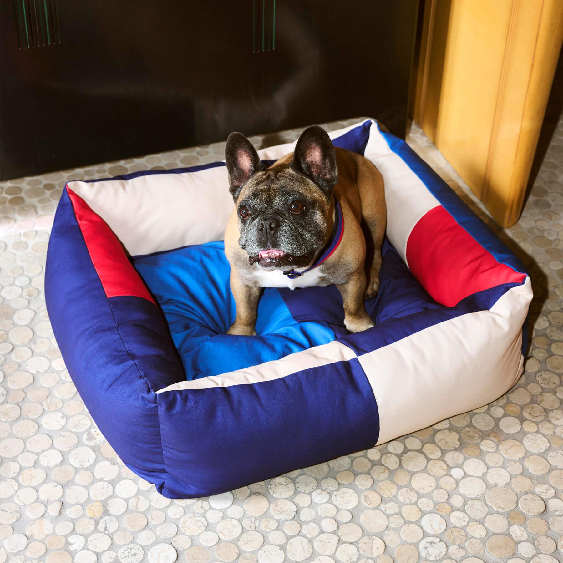 HAY Dogs Bed | Holloways of Ludlow