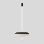 Model 2065 Pendant