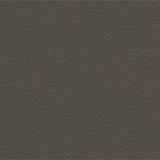 Leather Umbra Grey