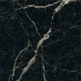 Gloss Levanto Marble