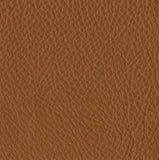 Thor 307 Leather