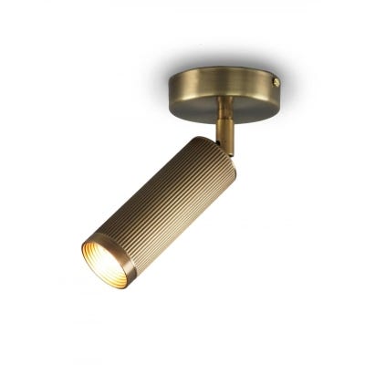 Small image of Spot ceiling light - single